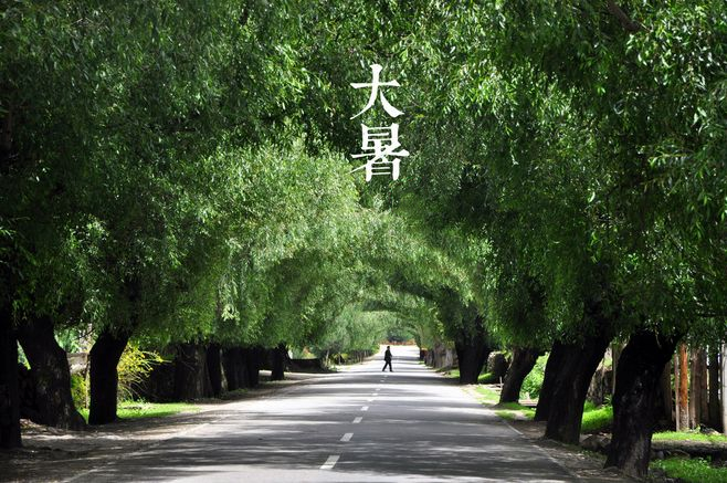大暑丨葡園消煩暑，夢涼天地寬