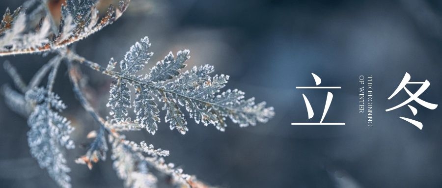 立冬 ▎朔風(fēng)始起，萬物境藏