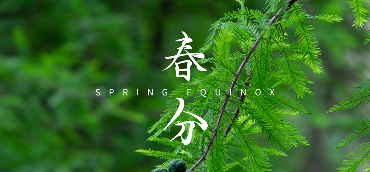 春分 ▎不負(fù)春光，萬物生長
