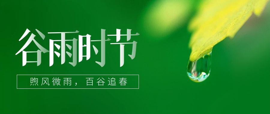 谷雨 ▎雨生百谷，鎖住一抹春色