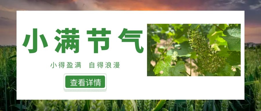 小滿 ▎小得盈滿，自得浪漫~