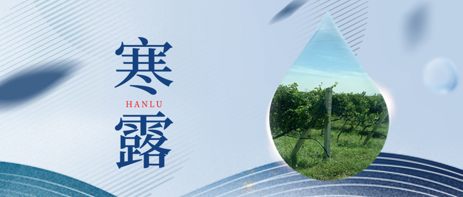 寒露丨夜露凝寒，萬(wàn)物皆秋