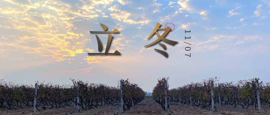 立冬 ▎四時(shí)有序，天地歸藏