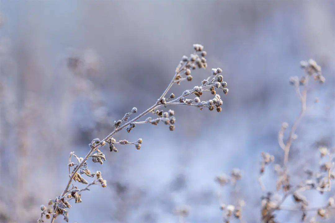 小雪 ▎冬藏萬(wàn)物，歲月沉香